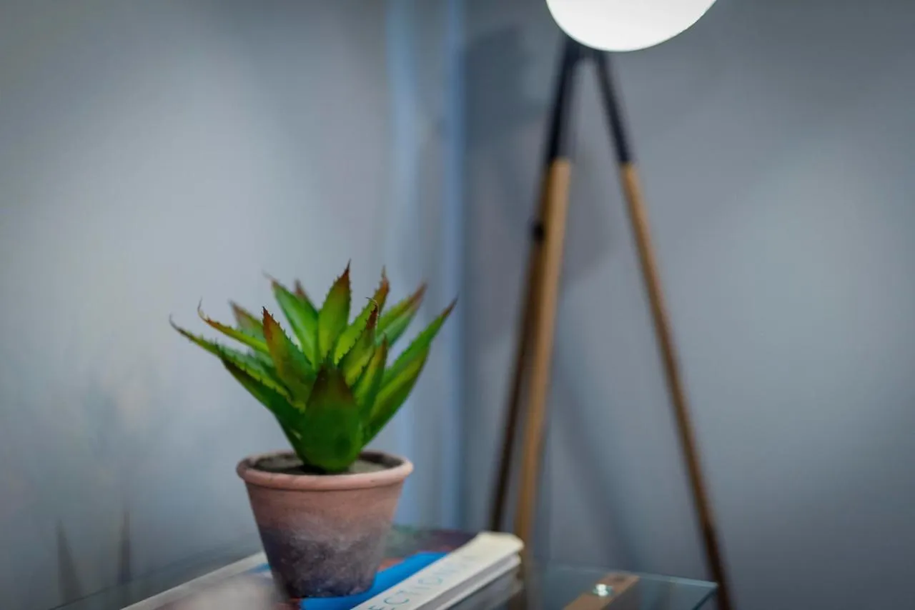 Soho Vibes On Davey - 2 Bedroom Unit Hobart - Free Parking - Free Wifi Lägenhet